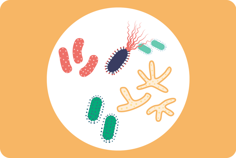 bakterier og virus