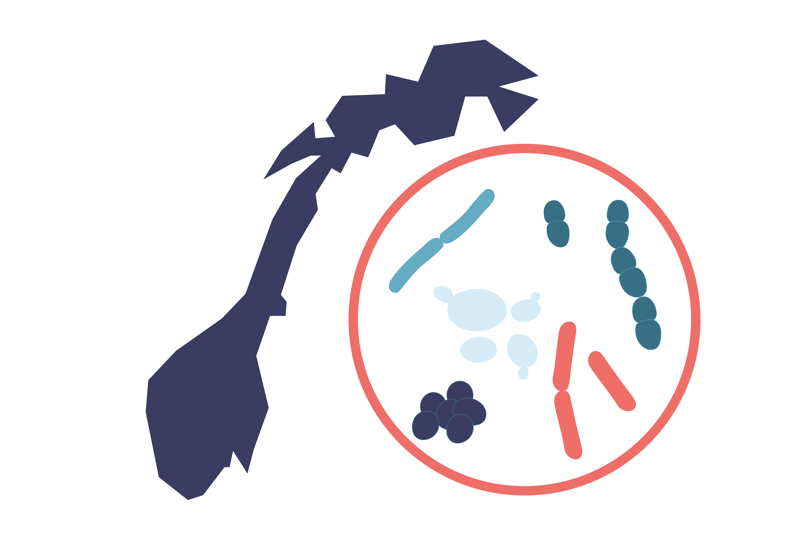 Illustrasjon av norgeskart og en ring med bakterier og sopp som overvåkes med tanke på antibiotikaresistens