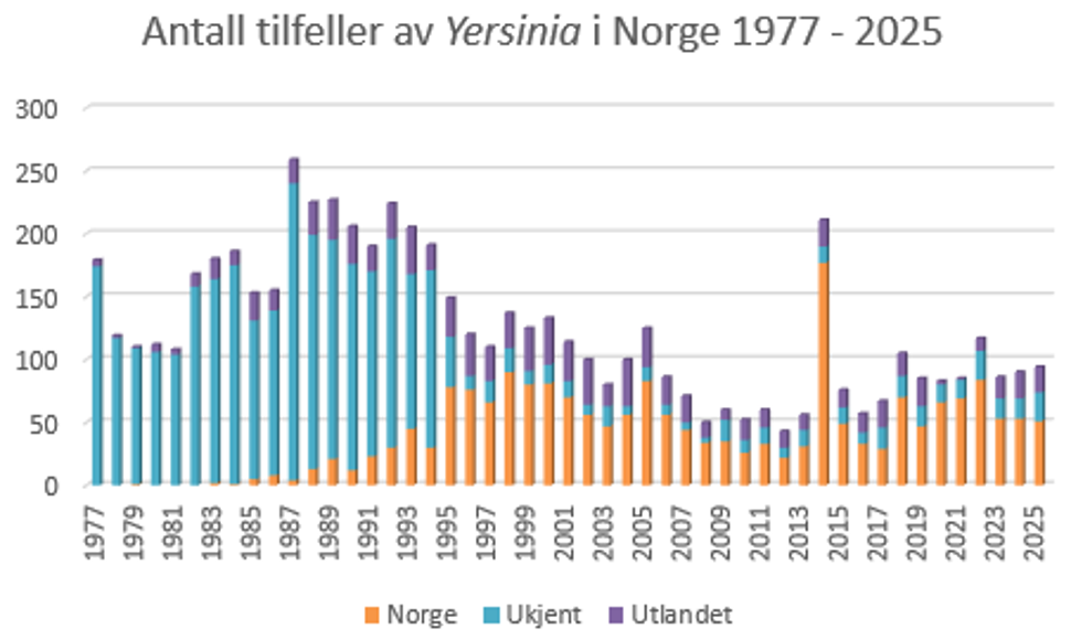 Antall tilfeller av yersinia i Norge 1977-2025