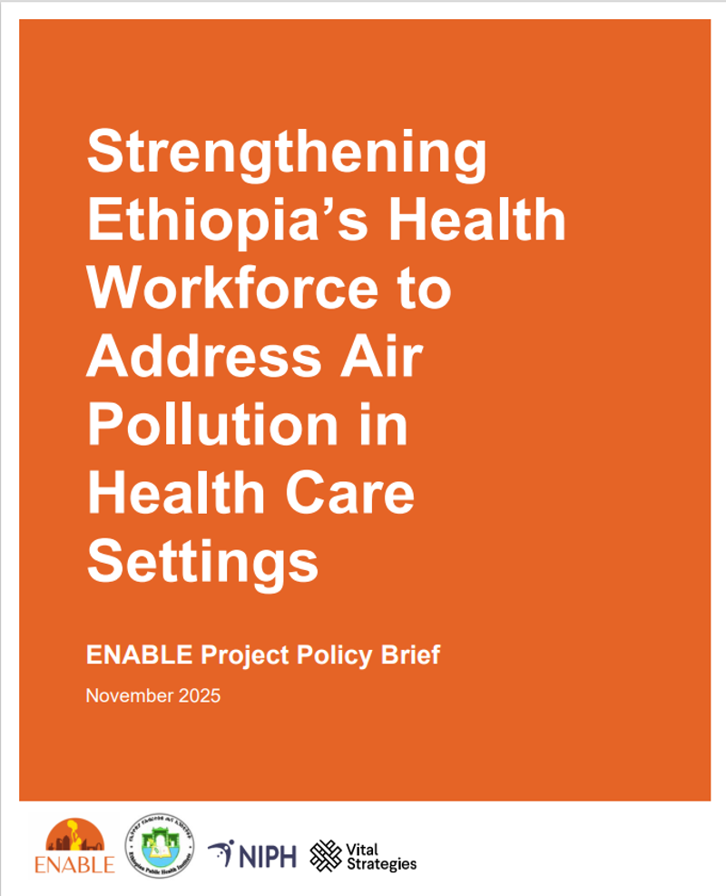 Policy brief air pollution. Picture