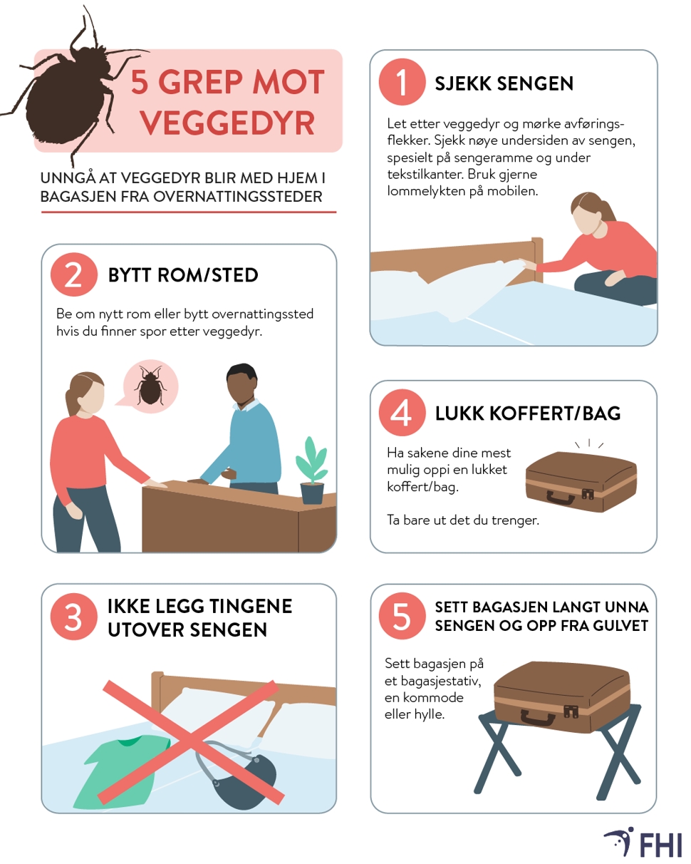 Plakat fra FHI med tittelen «5 grep mot veggedyr». Illustrasjoner og tekst viser fem råd for å unngå å få med veggedyr hjem fra overnattingssteder: 1) Sjekk sengen og se etter veggedyr eller spor etter dem. 2) Bytt rom eller overnattingssted dersom du finner tegn på veggedyr. 3) Ikke legg klær eller andre eiendeler utover sengen. 4) Oppbevar eiendelene mest mulig i lukket koffert eller bag. 5) Sett bagasjen unna sengen og opp fra gulvet, for eksempel på et bagasjestativ. Plakaten inneholder illustrasjoner av seng, bagasje, resepsjon og veggedyr.
