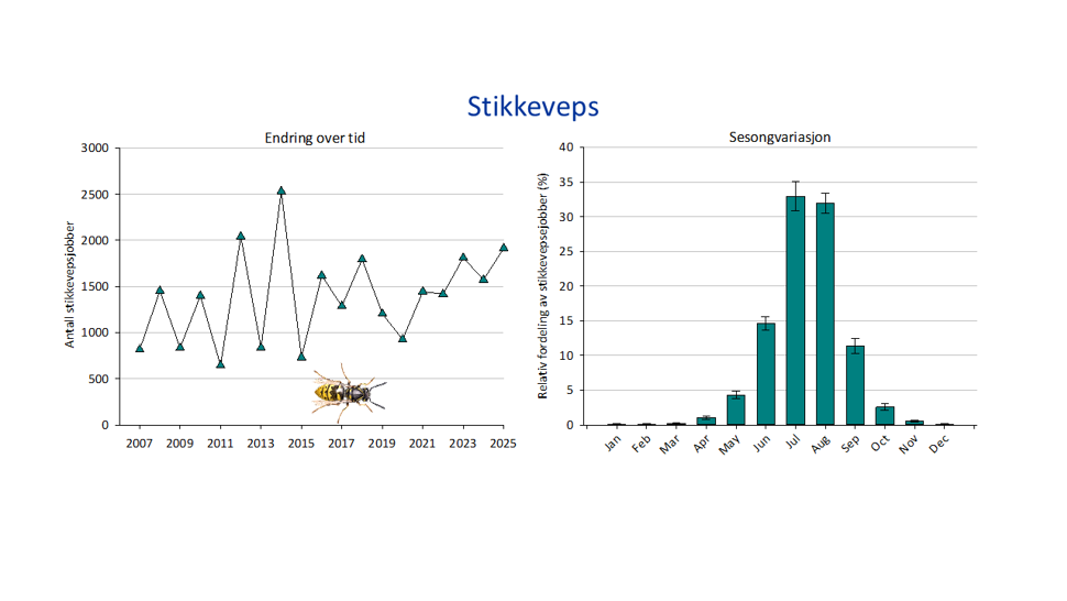 2 grafer og illustrasjon, en graf viser totalt antall bekjempelser av stikkeveps i årene 2007-2025, og en graf viser sesongvariasjon, med gjennomsnittlig prosentvis andel bekjempelser for ulike måneder (med standardfeil). Illustrasjon av en stikkeveps.