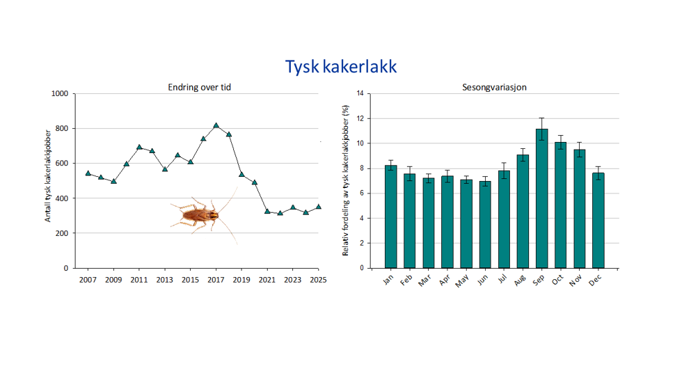 2 grafer og illustrasjon, en graf viser totalt antall bekjempelser av tysk kakerlakk i årene 2007-2025, og en graf viser sesongvariasjon, med gjennomsnittlig prosentvis andel bekjempelser for ulike måneder (med standardfeil). Illustrasjon av en tysk kakerlakk.