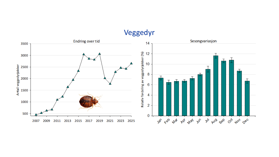 2 grafer, en graf viser totalt antall bekjempelser av veggedyr i årene 2007-2025, og en graf viser sesongvariasjon, med gjennomsnittlig prosentvis andel bekjempelser for ulike måneder (med standardfeil).