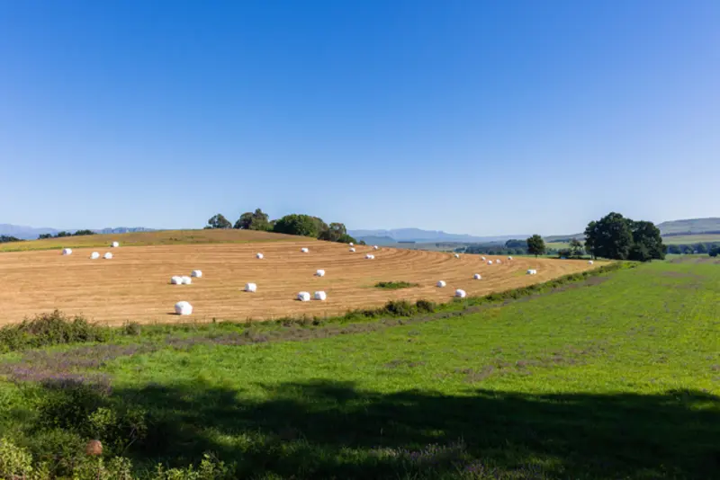 Illustrasjonsbilde: Colourbox.com