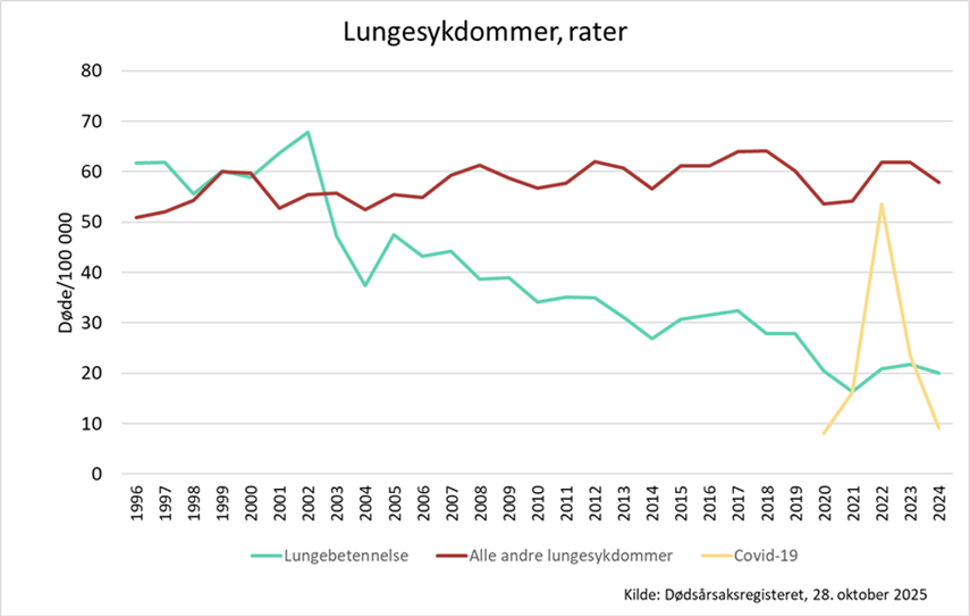 Linjediagram fra 1996 til 2024 over rater for lungesykdommer