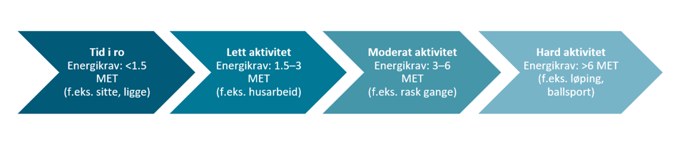 Figur over energibruket fra ulike fysisk aktivitetsnivå.