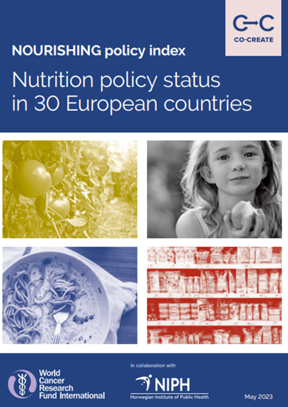Nutrition policy indexes