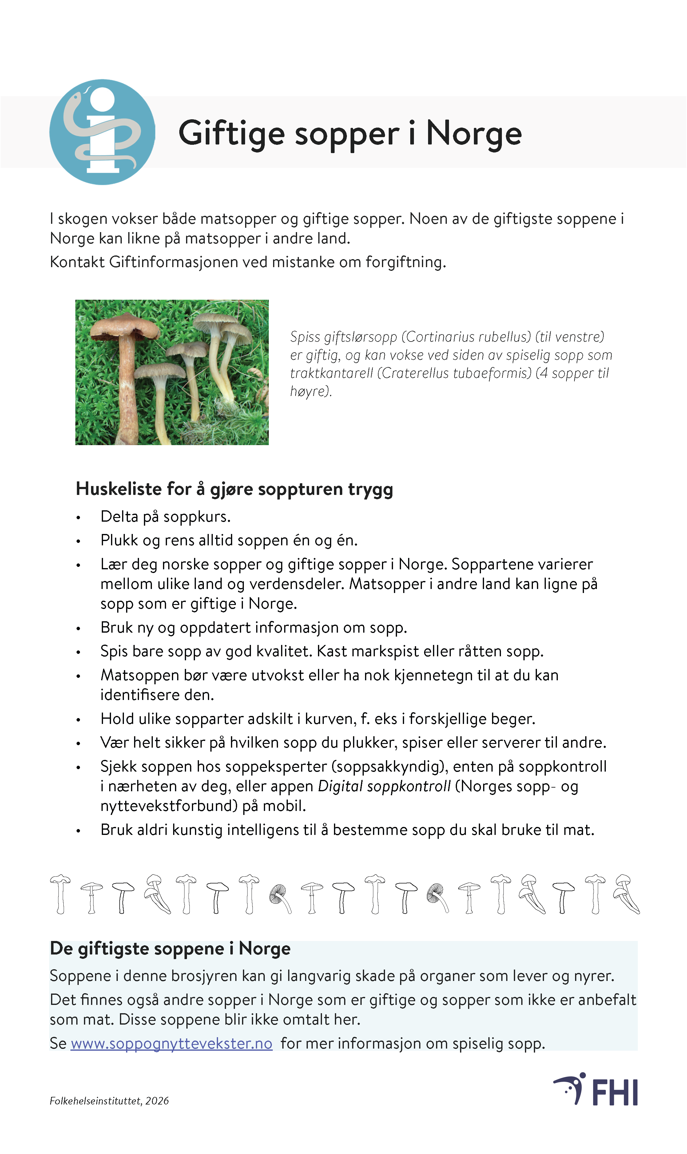 Skjermdump av første siden av brosjyren "Giftige sopper i Norge", bokmålversjonen