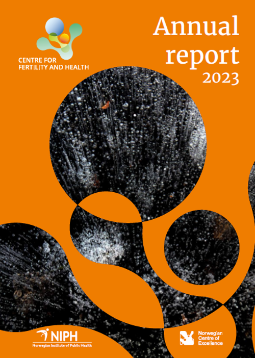 Image of front page of report