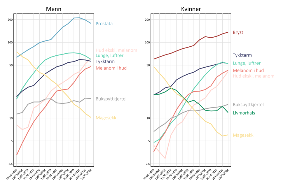 Figur med Tidstrend for utvalgte kreftformer