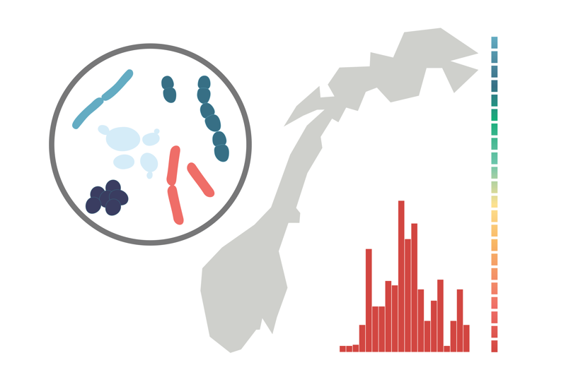 NORM-rapport antibiotikaresistens.png