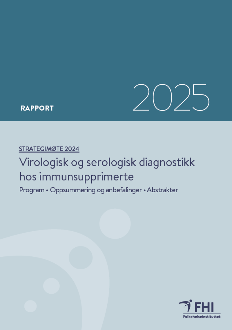 forside til rapporten