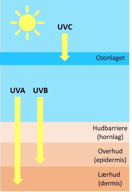 UV-stråling. Kilde: FHI