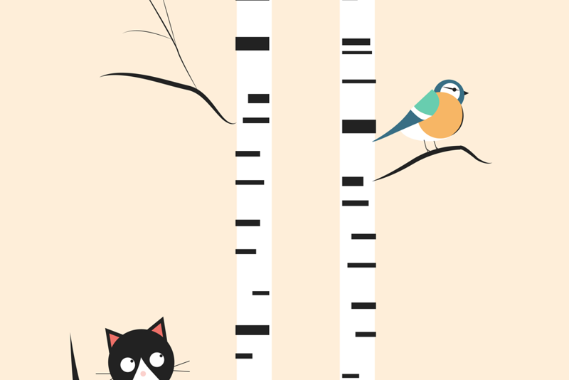 illustrasjon av kjøttmeis og katt blant bjørketrær