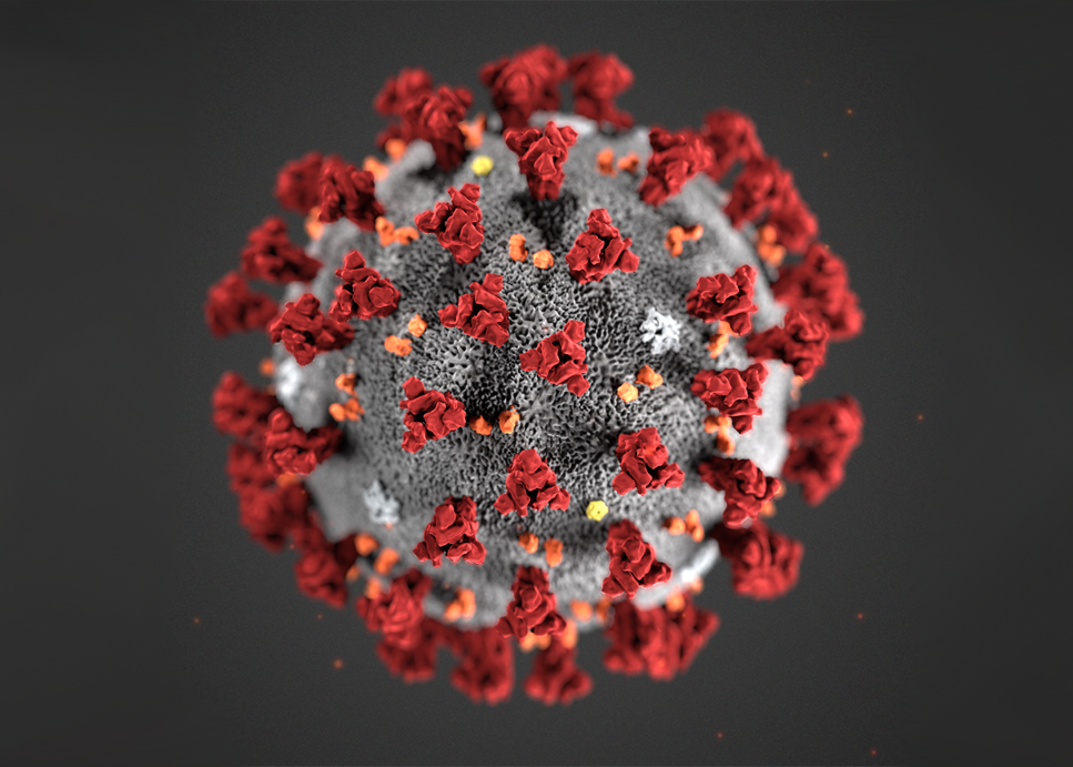 Koronavirus - temaside