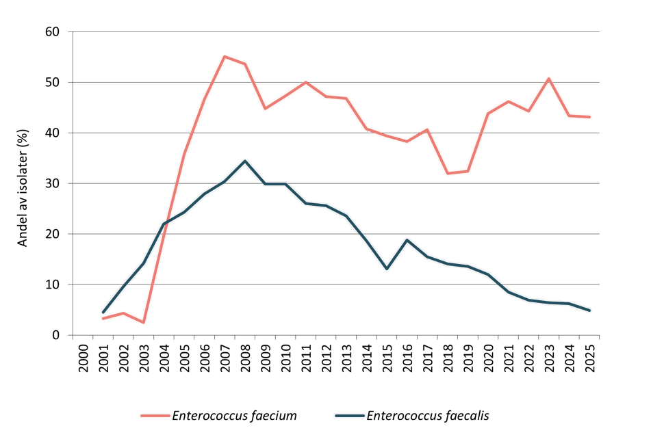 Andel av enterokokker (Enterococcus faecalis og Enterococcus faecium) i blod med høygradig resistens mot gentamicin 2000-2025.