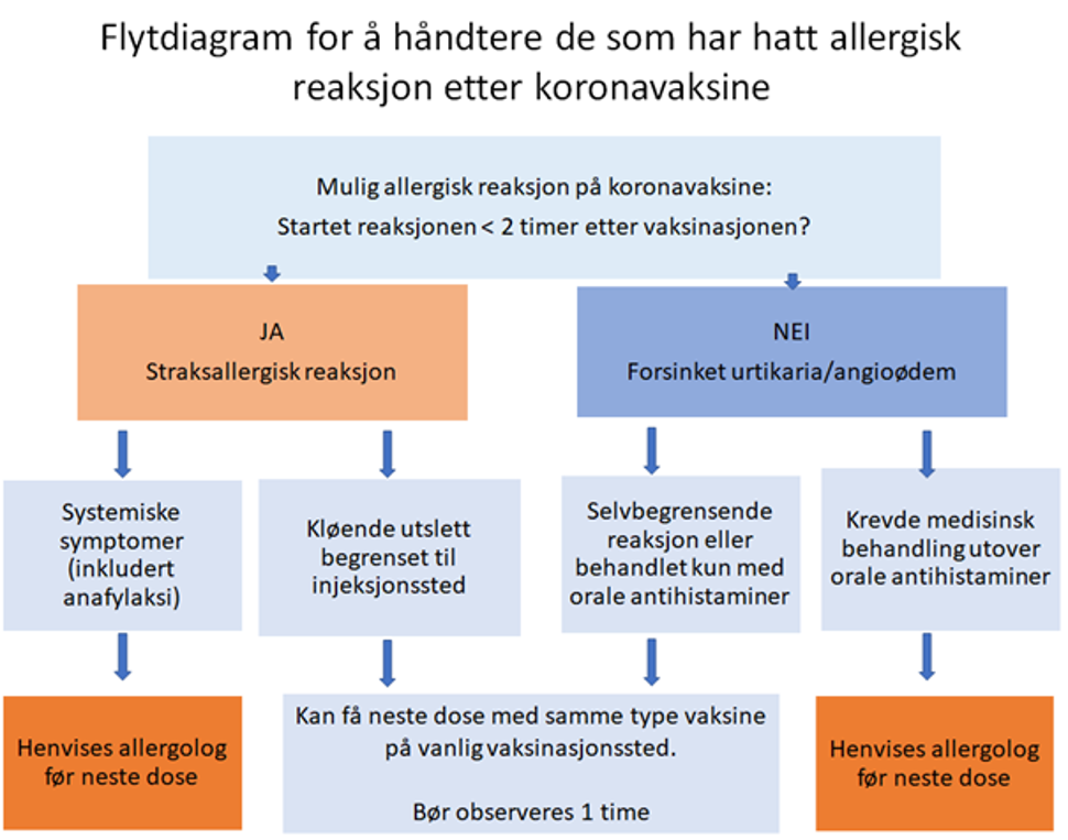 Flytdiagram allergisk reaksjon etter koronavaksine