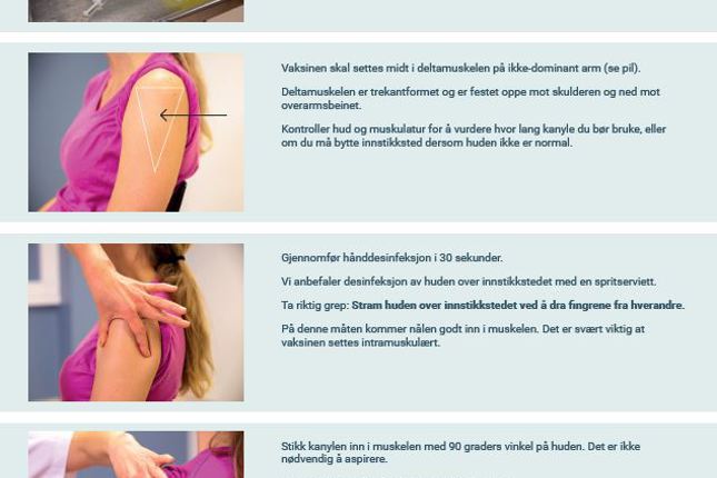 Nidel Injeksjon Intramuskulær injeksjon - FHI