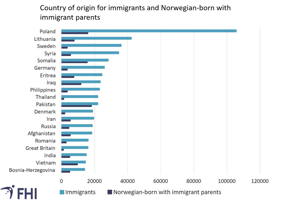 Figure over the largest groups of immigrants