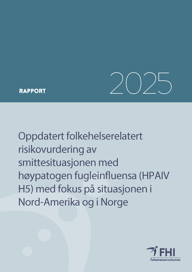 Bilde av forsiden av rapporten