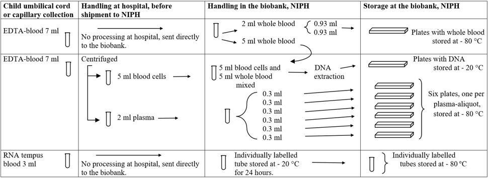 Figure 5. Flow chart of the process from MoBa sample collection to storage of the different specimen at the biobank. This chart shows the process for samples collected from the child umbilical cord or capillary sample of the newborn child taken the day of birth   