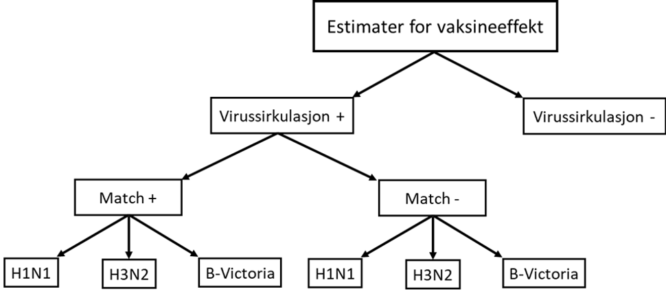 illustrasjon av faktorer ved viruset og vaksinen som påvirker effektestimater for influensavaksinen.