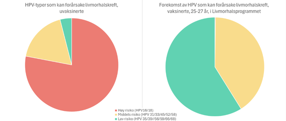Figurer som viser fordeling av HPV-typer blant hhv uvaksinerte og vaksinerte.