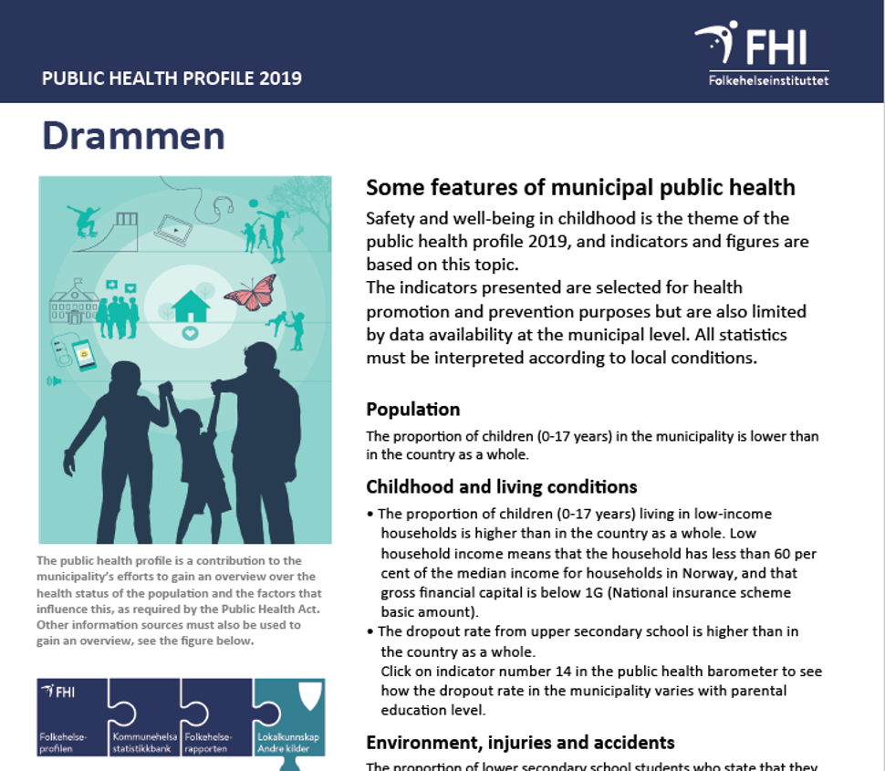 health profile drammen 2019