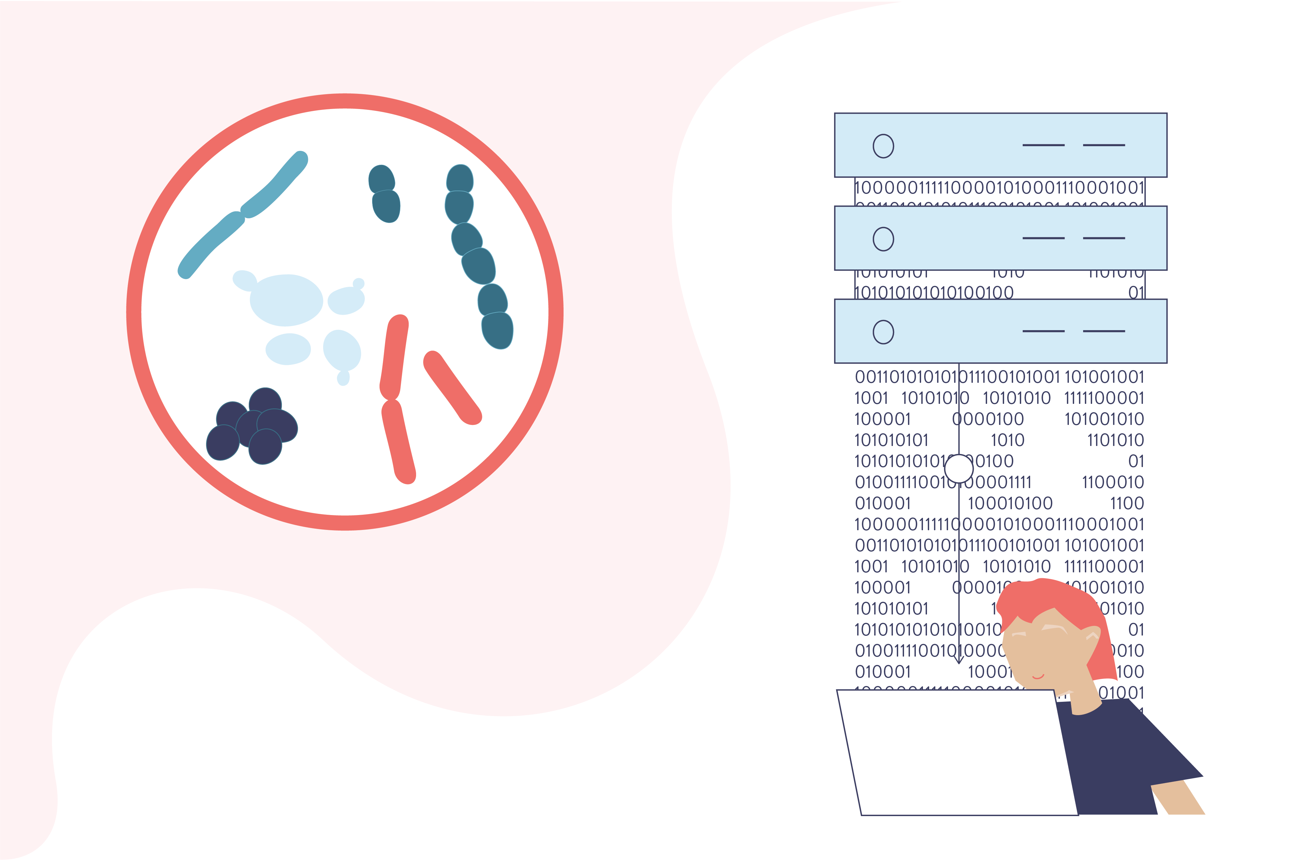 Norwegian Surveillance System for Antimicrobial Drug Resistance (NORM)