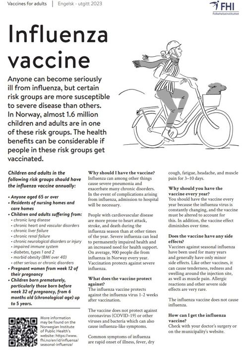 Thumbnail of influenza vaccine brochure