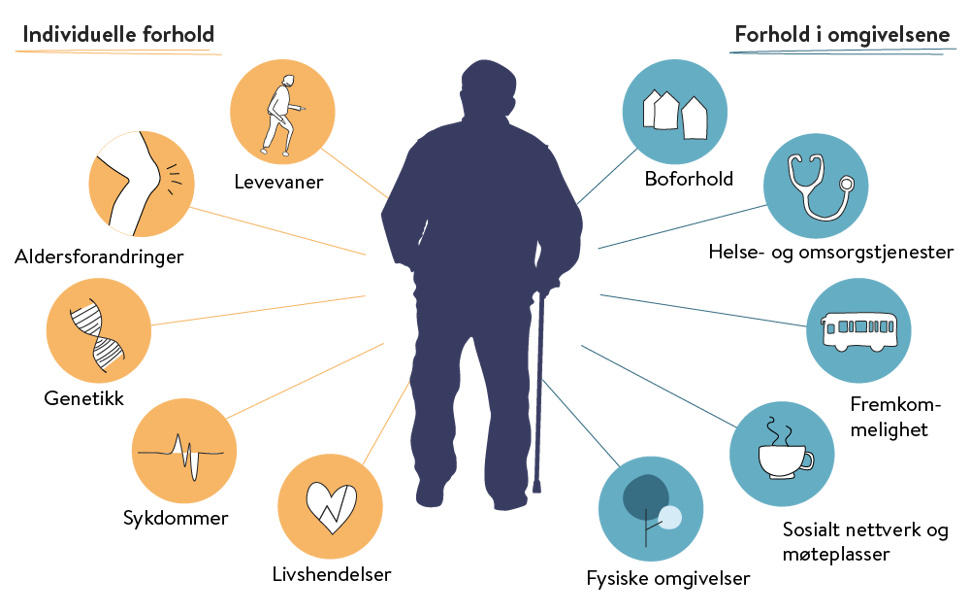 Figur 4: Hva påvirker eldres helse?