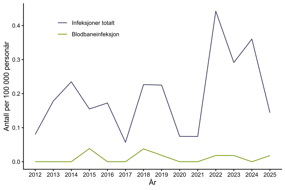 Figur 15. Antall personer per 100.000 personår med infeksjon med karbapenemase-produserende Acinetobacter spp. meldt til MSIS i perioden 2012-2025 fordelt på infeksjoner og blodbaneinfeksjoner. Kilde: MSIS, FHI.