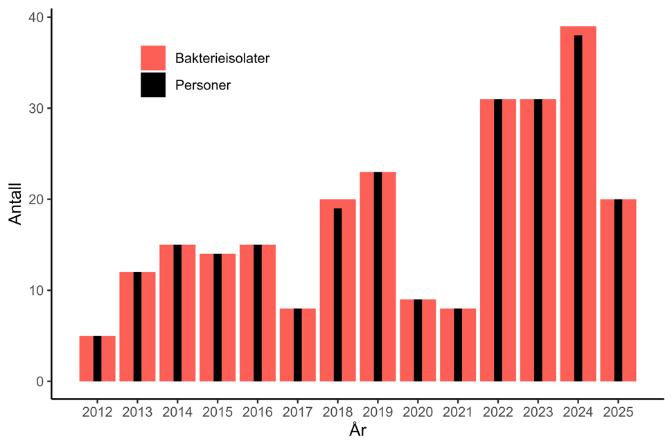 Figur 13. Antall personer og bakterieisolater med karbapenemase-produserende Acinetobacter spp. meldt til MSIS i perioden 2012-01.09.2025. Kilde: MSIS, FHI.
