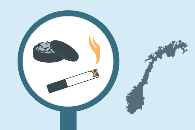 illustrasjoner av ulike typer tobakk