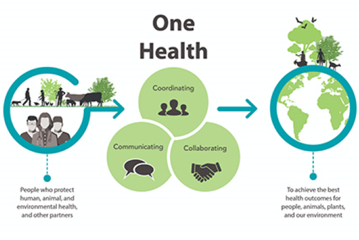 Illustration of One Health 