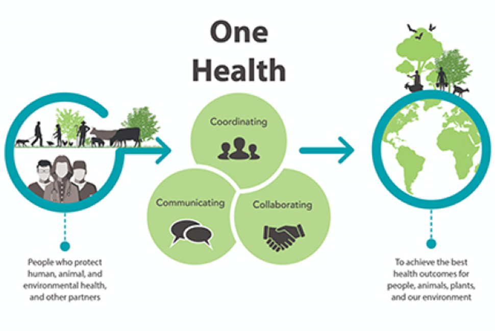 Illustration of One Health 