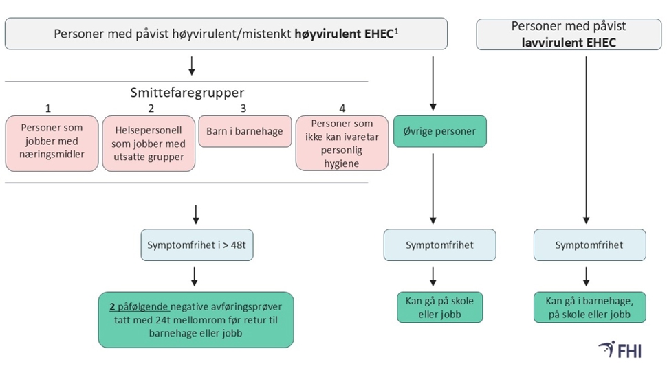 Flytskjema hvordan følge opp personer med EHEC