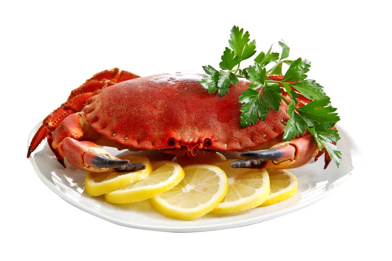 Noen grupper i befolkningen kan ha inntak av kadmium som er høyere enn det som regnes som trygt. Mest kadmium er funnet i innmat fra dyr og brunt krabbekjøtt Illustrasjonsbilde: Colourbox.com