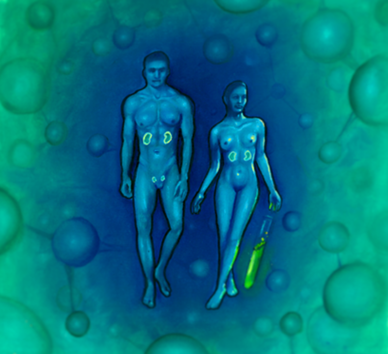 Illustrasjon av mennesker omgitt av evighetskjemikalier