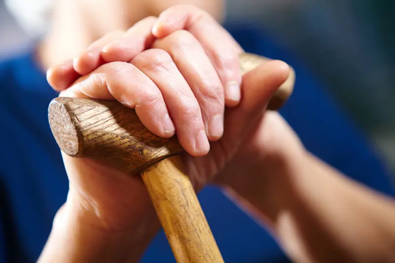 Gamle hender på en stokk. Bilde