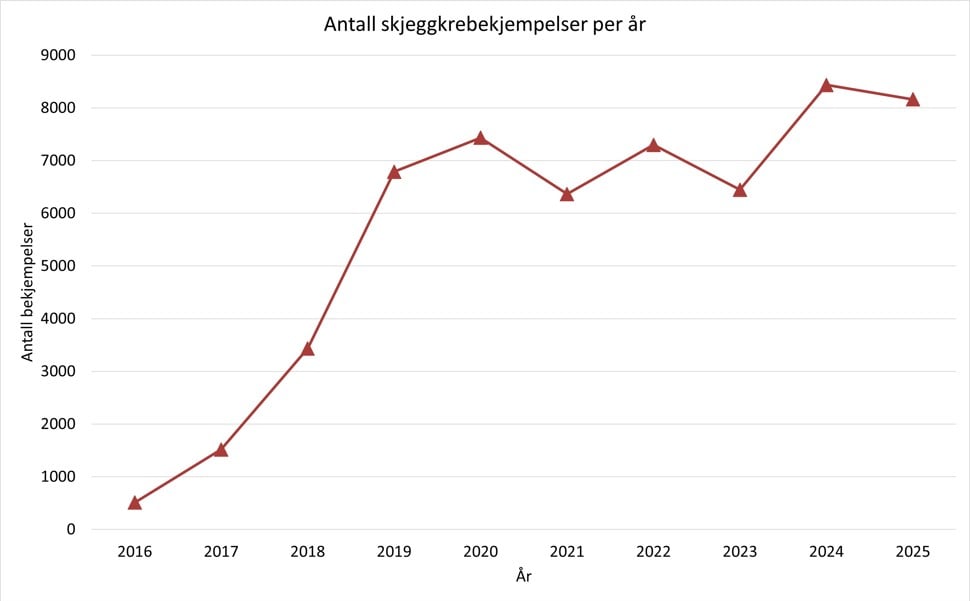 Graf som viser antall bekjempelser mot skjeggkre (y-aksen) per år (X-aksen), for perioden 2016-2025. Viser en kraftig økning i perioden 2016-2020. Etter det relativt stabilt med rundt 7000 bekjempelser fram til 2024 da det var en økning til nær 8500 bekjempelser, med en liten nedgang i 2025.