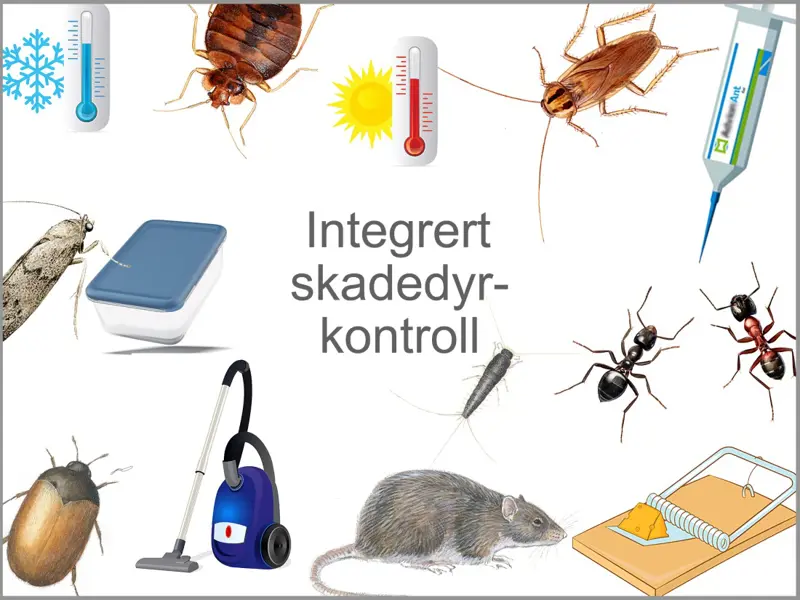 Integrert skadedyrkontroll