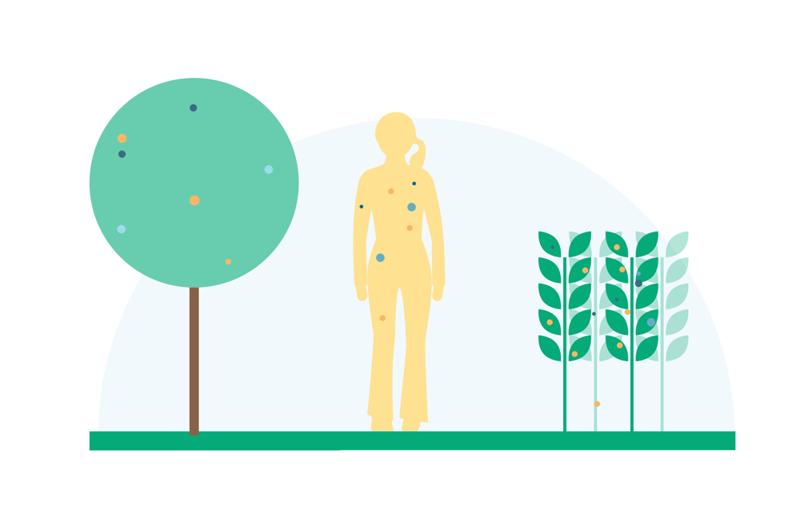 tre, korn og menneske