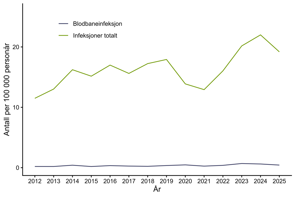 Figur 31. Antall personer per 100.000 personår med infeksjon med MRSA meldt til MSIS i perioden 2012-2025 fordelt på infeksjoner totalt og blodbaneinfeksjoner. Kilde: MSIS, FHI.