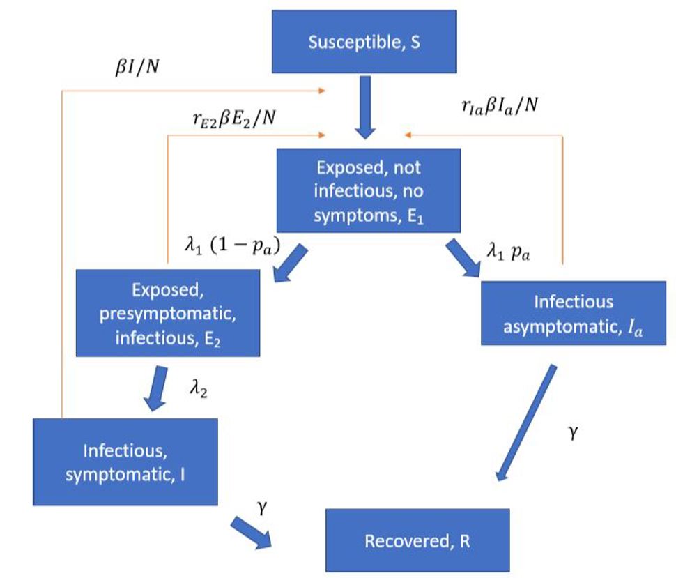 A schematic overview of the epidemiological model 