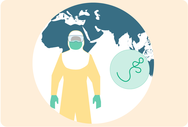 illustrasjon av virale hemoragiske febersykdommer