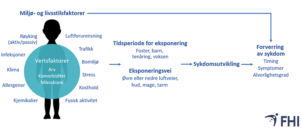 Illustrasjon som viser hvordan miljø- og livsstilsfaktorer kan påvirke astma og allergisk sykdom
