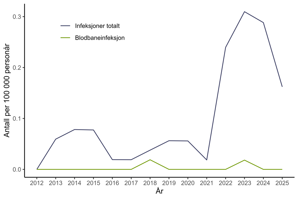 Figur 19. Antall personer med karbapenemase-produserende Pseudomonas spp. per 100.000 personår meldt til MSIS i perioden 2012-2025, fordelt på infeksjoner totalt og blodbaneinfeksjoner. Kilde: MSIS, FHI.