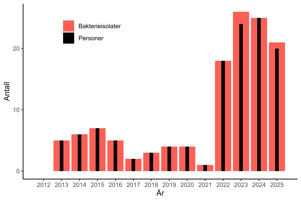 Figur 17. Antall personer og bakterieisolater med karbapenemase-produserende Pseudomonas spp. meldt til MSIS i perioden 2012-01.09.2025. Kilde: MSIS, FHI.